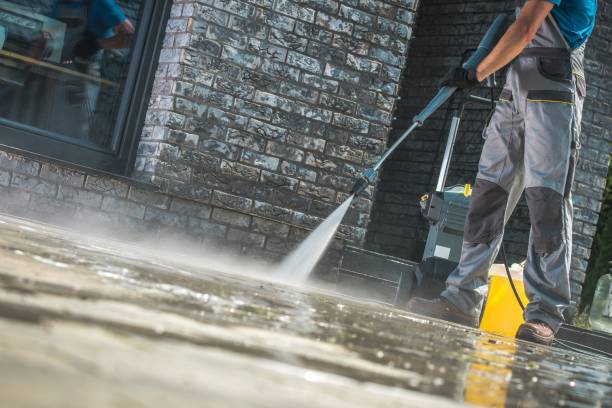 Best Roof Cleaning and Mildew Removal in Hazleton, PA